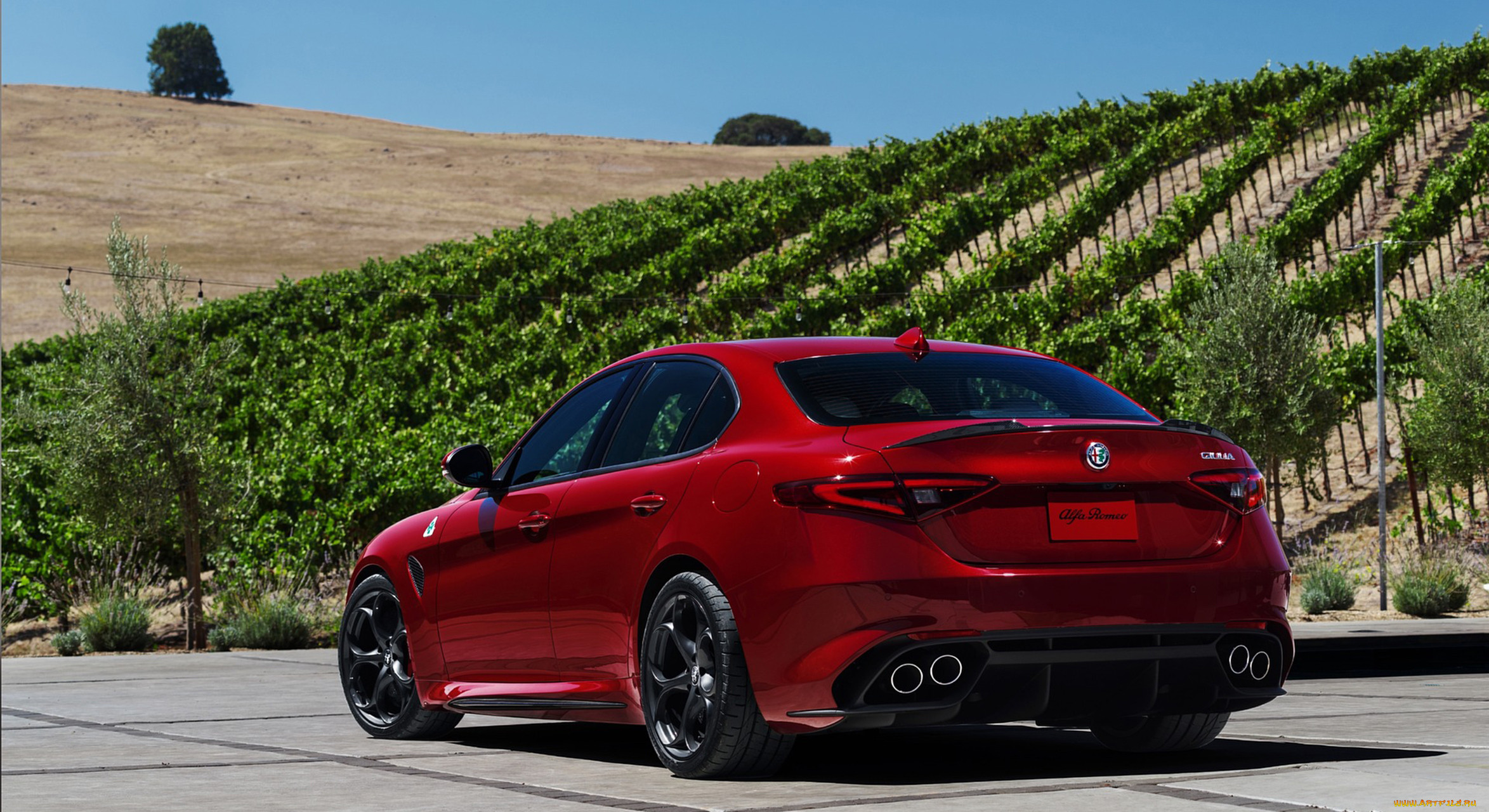 alfa romeo giulia quadrifoglio 2017, , alfa romeo, 2017, quadrifoglio, alfa, romeo, giulia